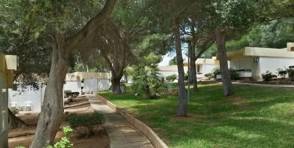 **  Sun Club El Dorado Hotel Cabo Regana  Spain